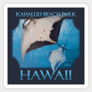 Kahaluu Beach Park Hawaii Manta Rays Sea Rays Ocean Sticker